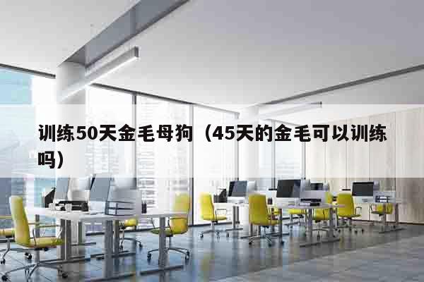 训练50天金毛母狗（45天的金毛可以训练吗）