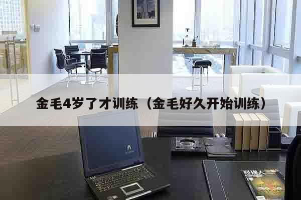 金毛4岁了才训练（金毛好久开始训练）