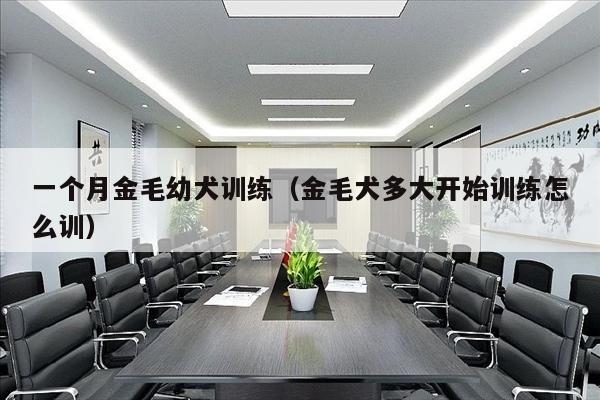 一个月金毛幼犬训练（金毛犬多大开始训练怎么训）