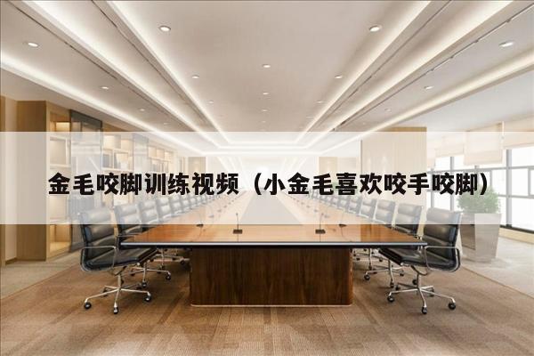 金毛咬脚训练视频（小金毛喜欢咬手咬脚）