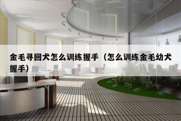 金毛寻回犬怎么训练握手（怎么训练金毛幼犬握手）