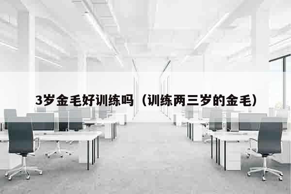 3岁金毛好训练吗（训练两三岁的金毛）