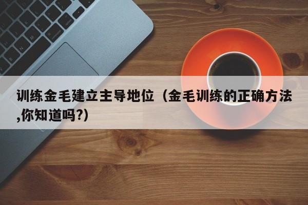 训练金毛建立主导地位（金毛训练的正确方法,你知道吗?）