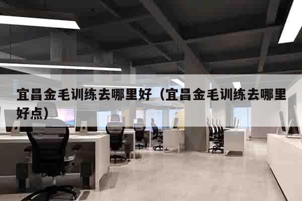宜昌金毛训练去哪里好（宜昌金毛训练去哪里好点）