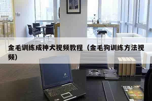 金毛训练成神犬视频教程（金毛狗训练方法视频）
