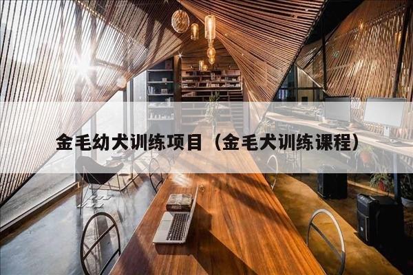 金毛幼犬训练项目（金毛犬训练课程）