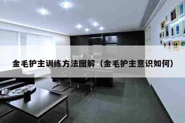金毛护主训练方法图解（金毛护主意识如何）