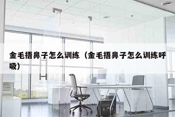 金毛捂鼻子怎么训练（金毛捂鼻子怎么训练呼吸）
