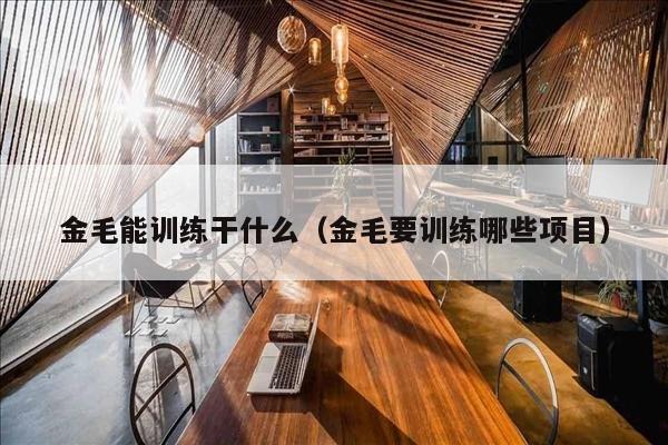 金毛能训练干什么（金毛要训练哪些项目）