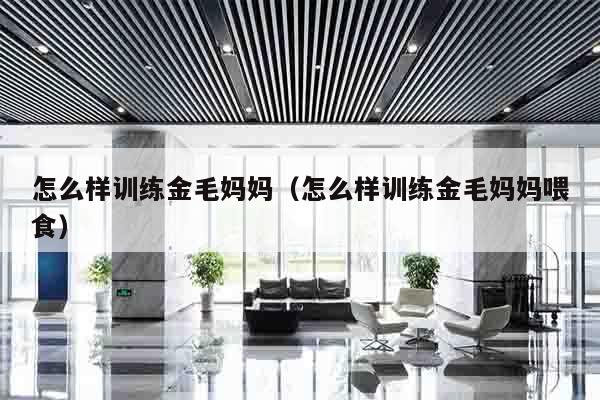 怎么样训练金毛妈妈（怎么样训练金毛妈妈喂食）