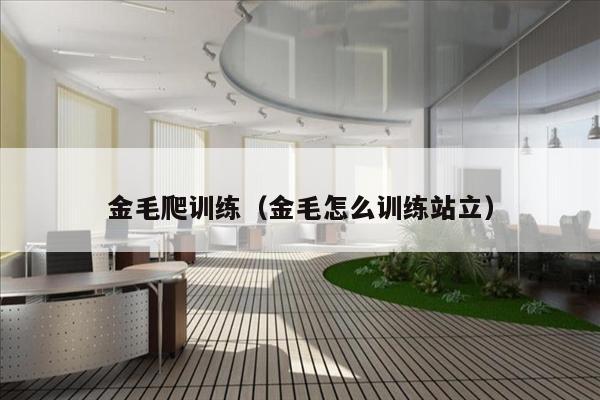金毛爬训练（金毛怎么训练站立）
