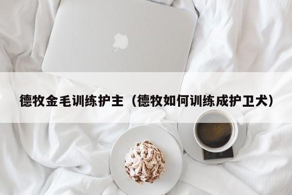 德牧金毛训练护主（德牧如何训练成护卫犬）