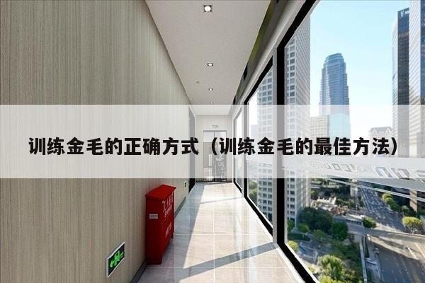 训练金毛的正确方式（训练金毛的最佳方法）