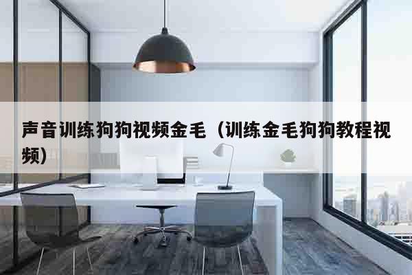声音训练狗狗视频金毛（训练金毛狗狗教程视频）