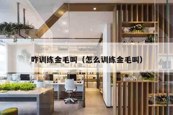 咋训练金毛叫（怎么训练金毛叫）