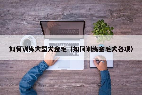 如何训练大型犬金毛（如何训练金毛犬各项）