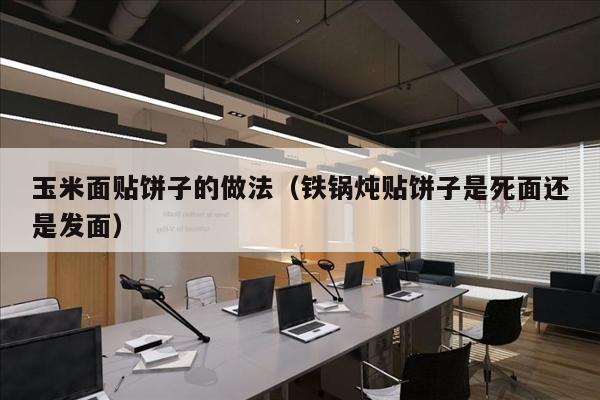 玉米面贴饼子的做法（铁锅炖贴饼子是死面还是发面）