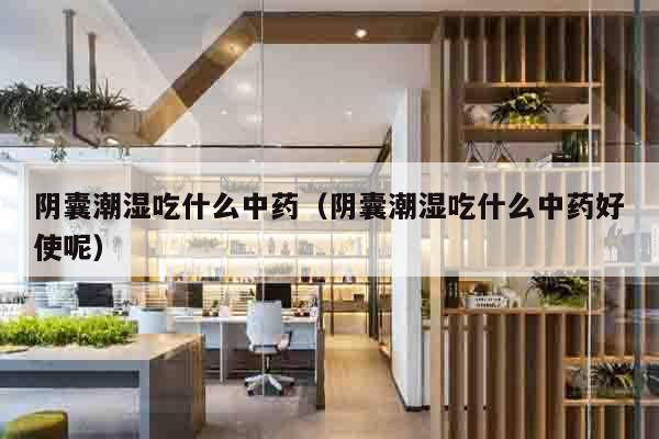 阴囊潮湿吃什么中药（阴囊潮湿吃什么中药好使呢）