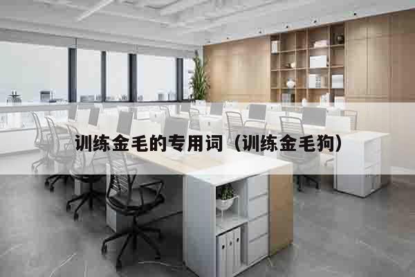 训练金毛的专用词（训练金毛狗）