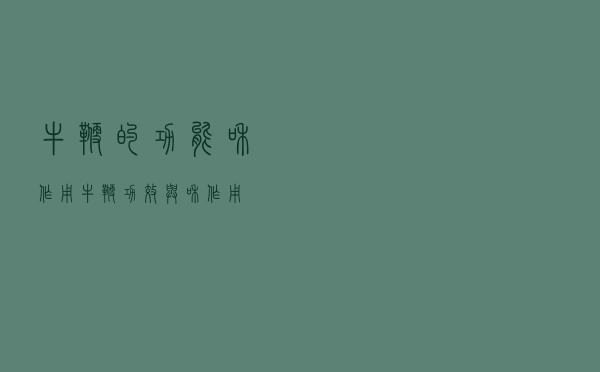 牛鞭的功能和作用（牛鞭功效与和作用）