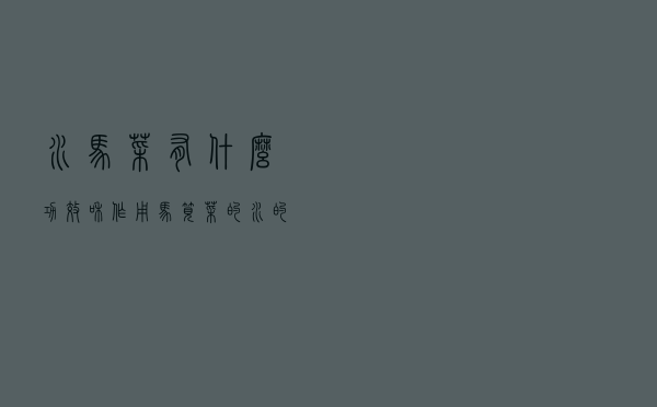 水马菜有什么功效和作用（马笕菜的水的功效）