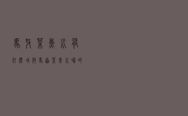 马牙菜煮水有什么功效（马齿菜煮水喝的功效）