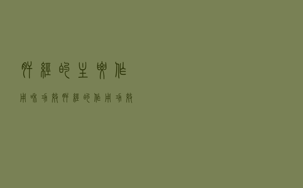 肝经的主要作用和功效（肝经的作用功效是什么）
