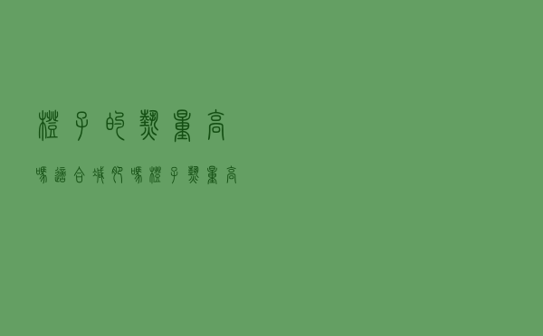 橙子的热量高吗适合减肥吗（橙子热量高吗）