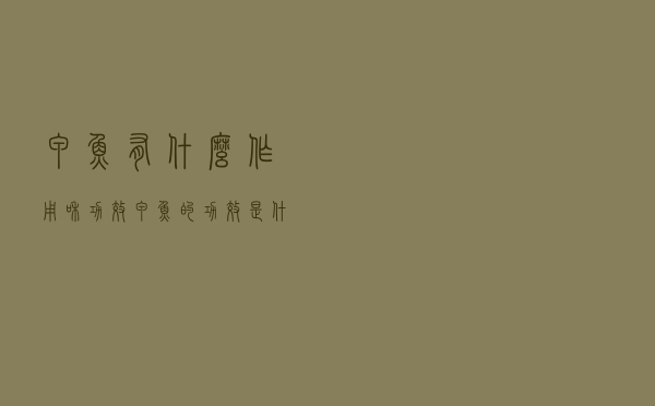 甲鱼有什么作用和功效（甲鱼的功效是什么）