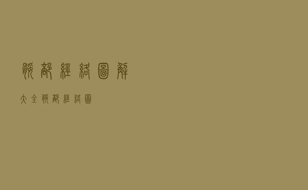 腿部经络图解大全（腿部经络图）