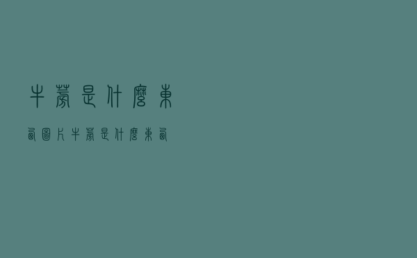 牛蒡是什么东西图片（牛蒡是什么东西）
