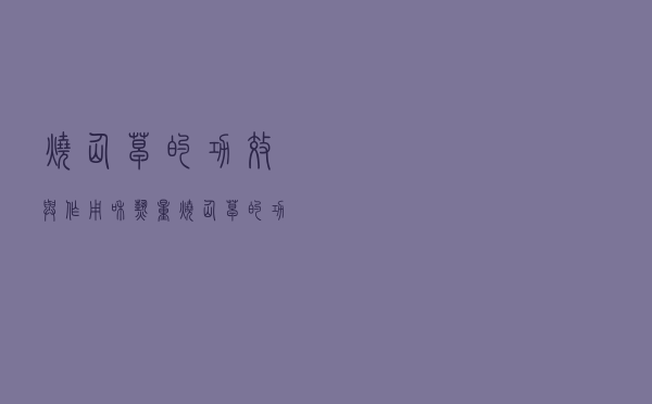 烧仙草的功效与作用和热量（烧仙草的功效）
