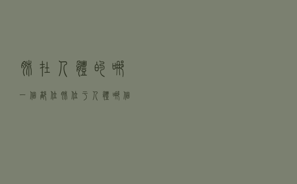 肺在人体的哪一个部位（肺位于人体哪个部位）
