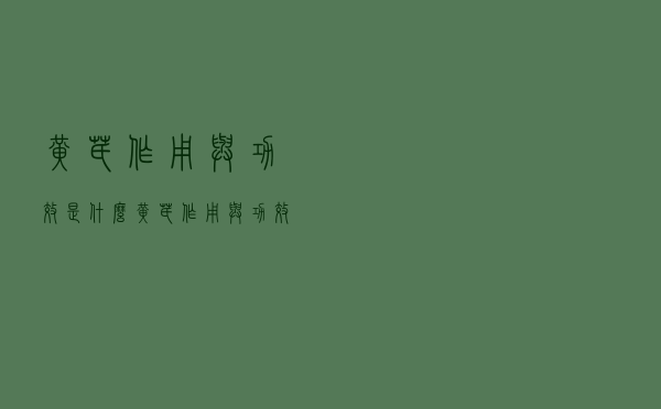 黄芪作用与功效是什么（黄芪作用与功效）