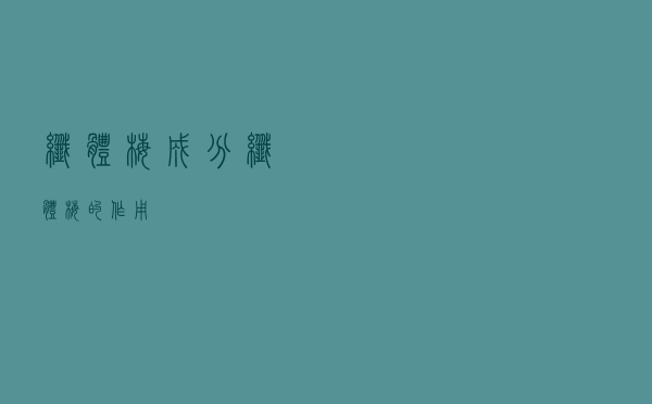 纤体梅成分（纤体梅的作用）
