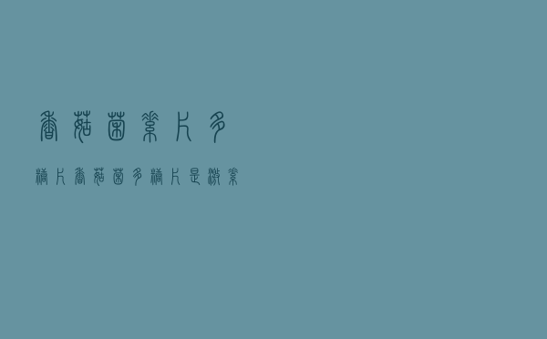 香菇菌素片多糖片（香菇菌多糖片是激素吗）