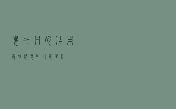 臭牡丹的作用与功效（臭牡丹的作用）