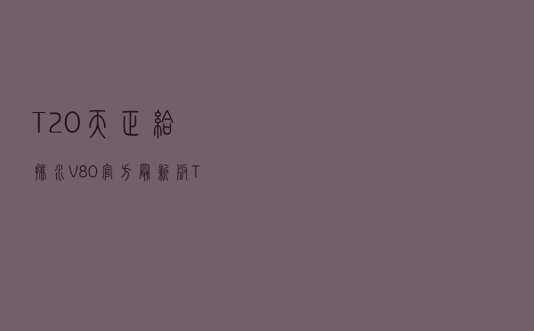 T20天正给排水 V80 官方最新版（T20天正给排水 V80 官方最新版功能简介）