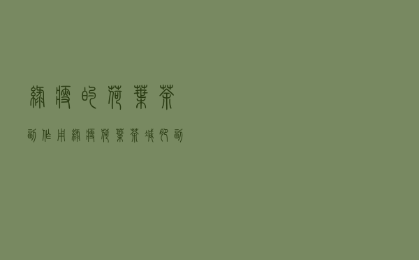 绿瘦的荷叶茶副作用（绿瘦荷叶茶减肥副作用）