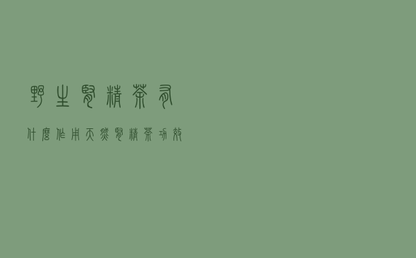 野生肾精茶有什么作用（天然肾精茶功效）