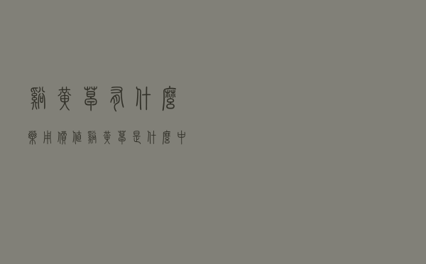 溪黄草有什么药用价值（溪黄草是什么中药）