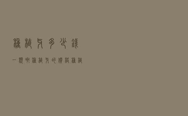 种植牙多少钱一颗啊（种植牙的价格 种植牙多少钱一颗）