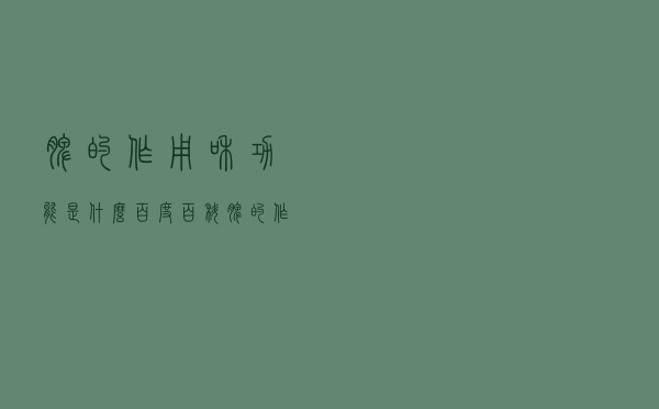 脾的作用和功能是什么百度百科（脾的作用）