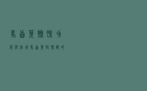 马齿苋擦脸功效与作用（马齿苋对脸部的作用）