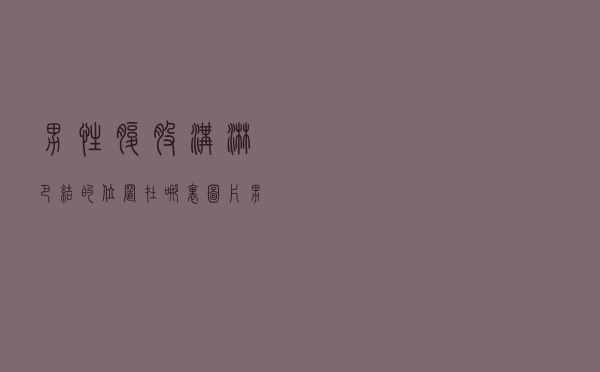 男性腹股沟淋巴结的位置在哪里图片（男性腹股沟淋巴结的位置在哪里）