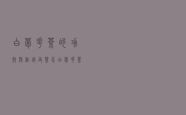 白菊花茶的功效与作用及禁忌（白菊花茶的功效）