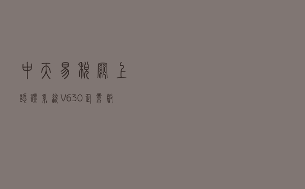 中天易税网上认证系统 V630 企业版（中天易税网上认证系统 V630 企业版功能简介）