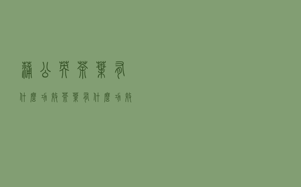 蒲公英茶叶有什么功效（茶叶有什么功效）