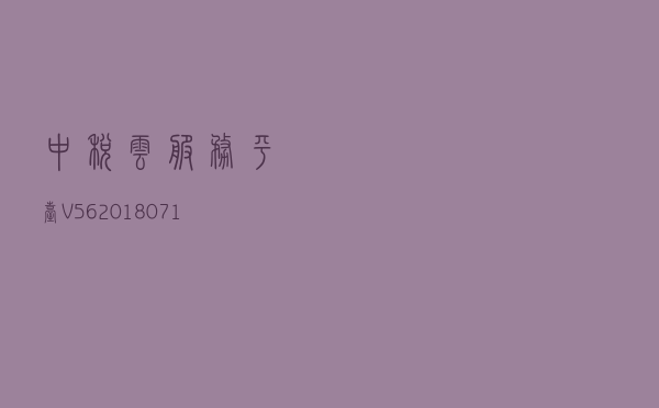 中税云服务平台 V5620180710 官方版（中税云服务平台 V5620180710 官方版功能简介）