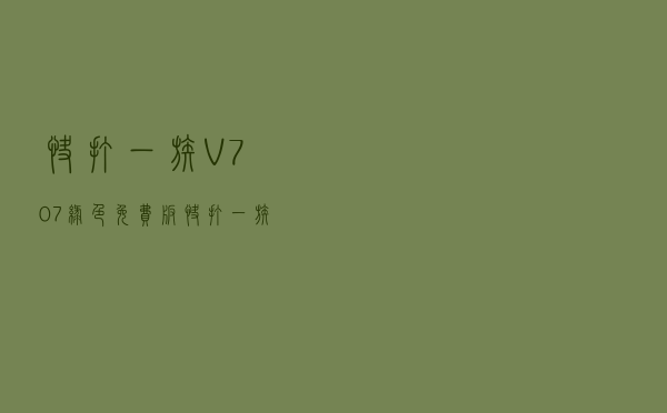 快打一族 V707 绿色免费版（快打一族 V707 绿色免费版功能简介）